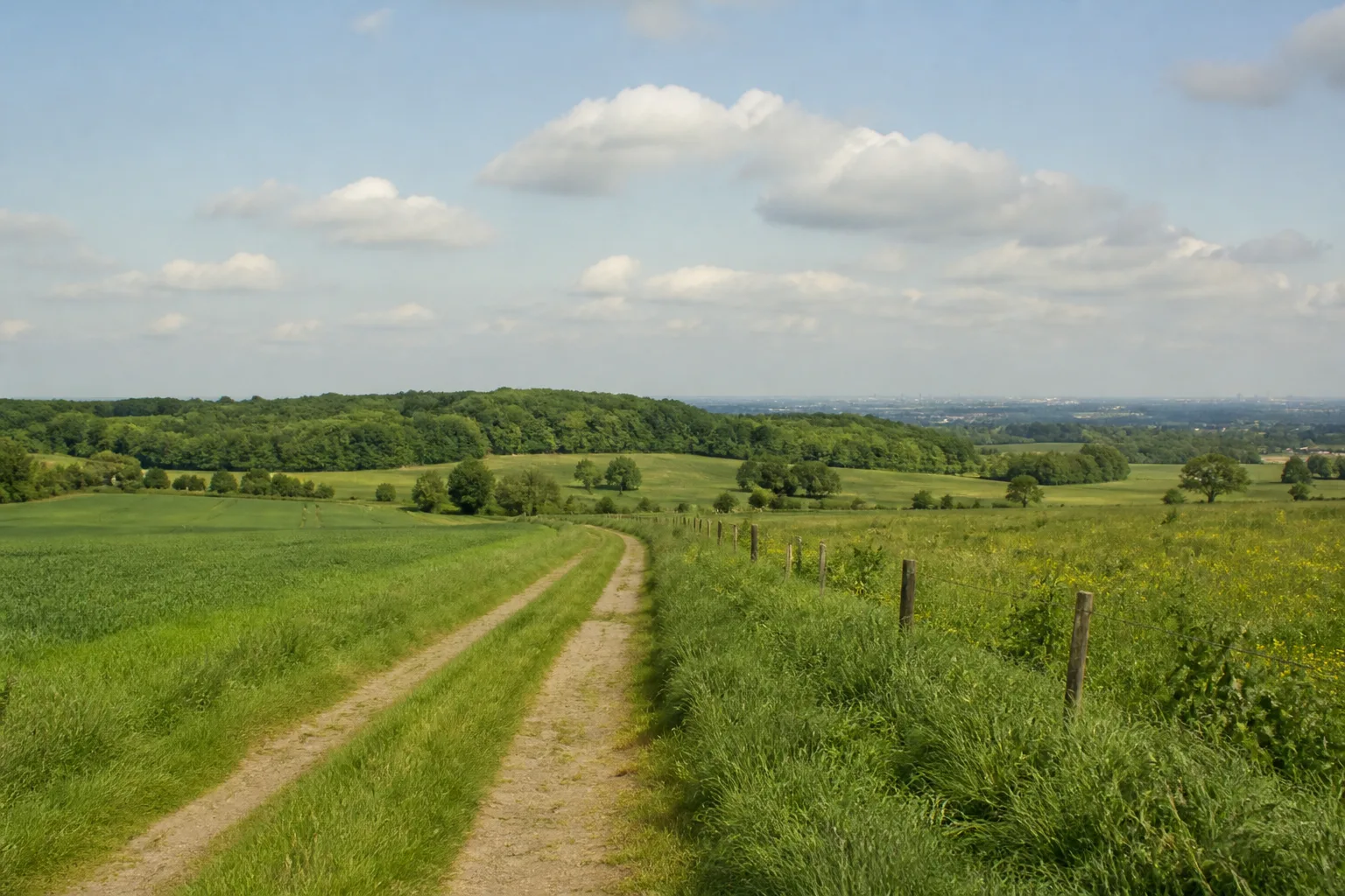 Feldweg über den Vestischen Höhenrücken bei Mollbeck in Recklinghausen