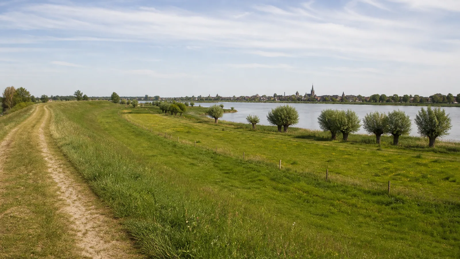 Rees: Deichweg durch die Rheinaue bei Rees