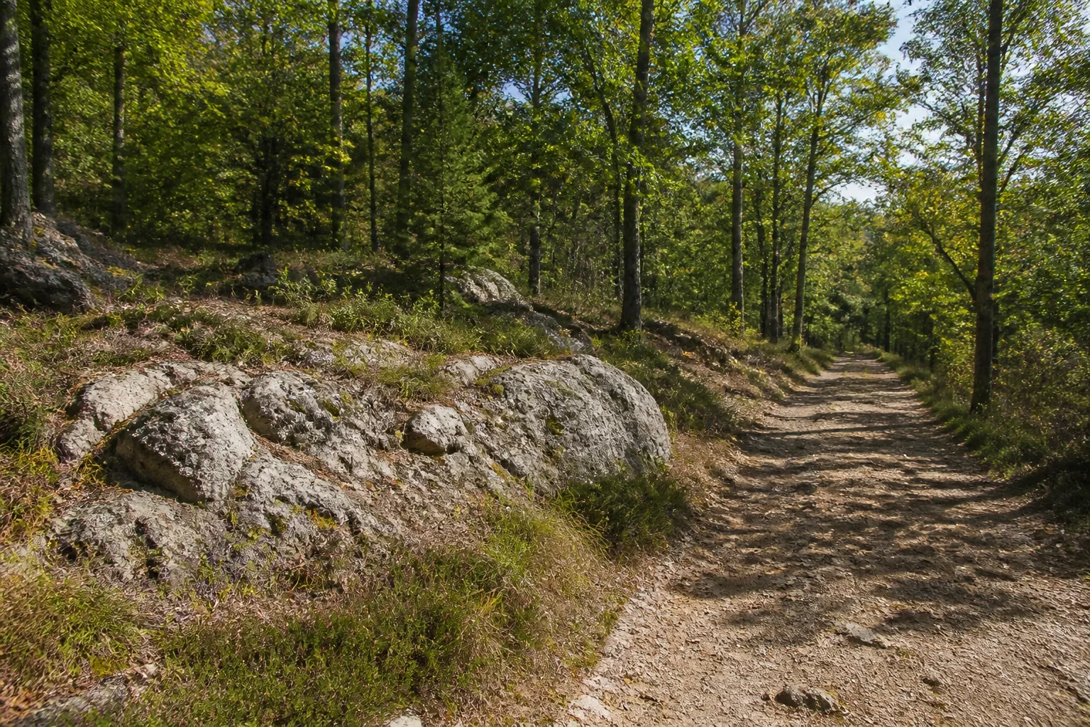 Pfahllandschaft bei Weißenstein: heller natürlicher Quarzfels neben einem Waldweg, geringe Felsgröße.