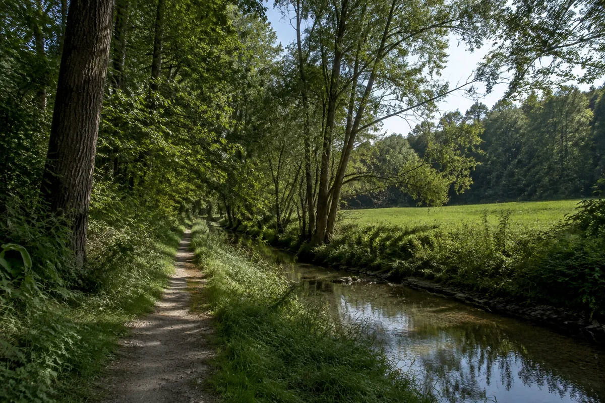 Kleiner Aubach bei Burgweinting zwischen grünen Wiesen, Ufergehölzen und Laubwald, flaches Gelände und natürlicher Gehweg.