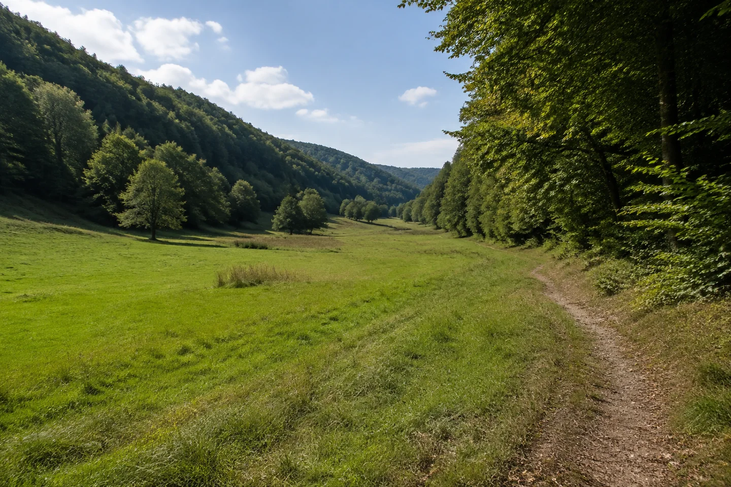Längliches Wiesental bei Ober-Kainsbach, dichte Buchenmischwälder an den Talhängen und schmaler Weg am Rand der Wiese.