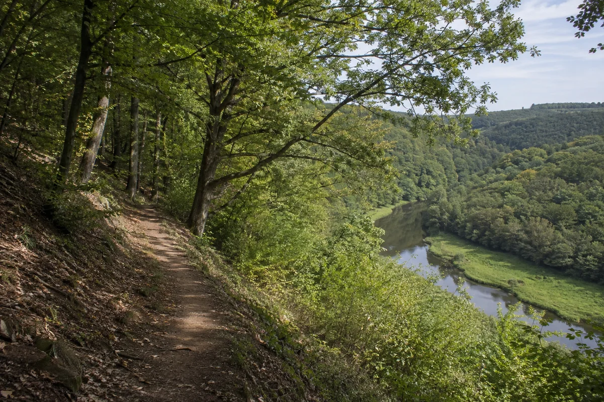 Gewissenruh: Hangweg in Eichen-Buchen-Mischwald über dem Wesertal ohne Bergpanorama