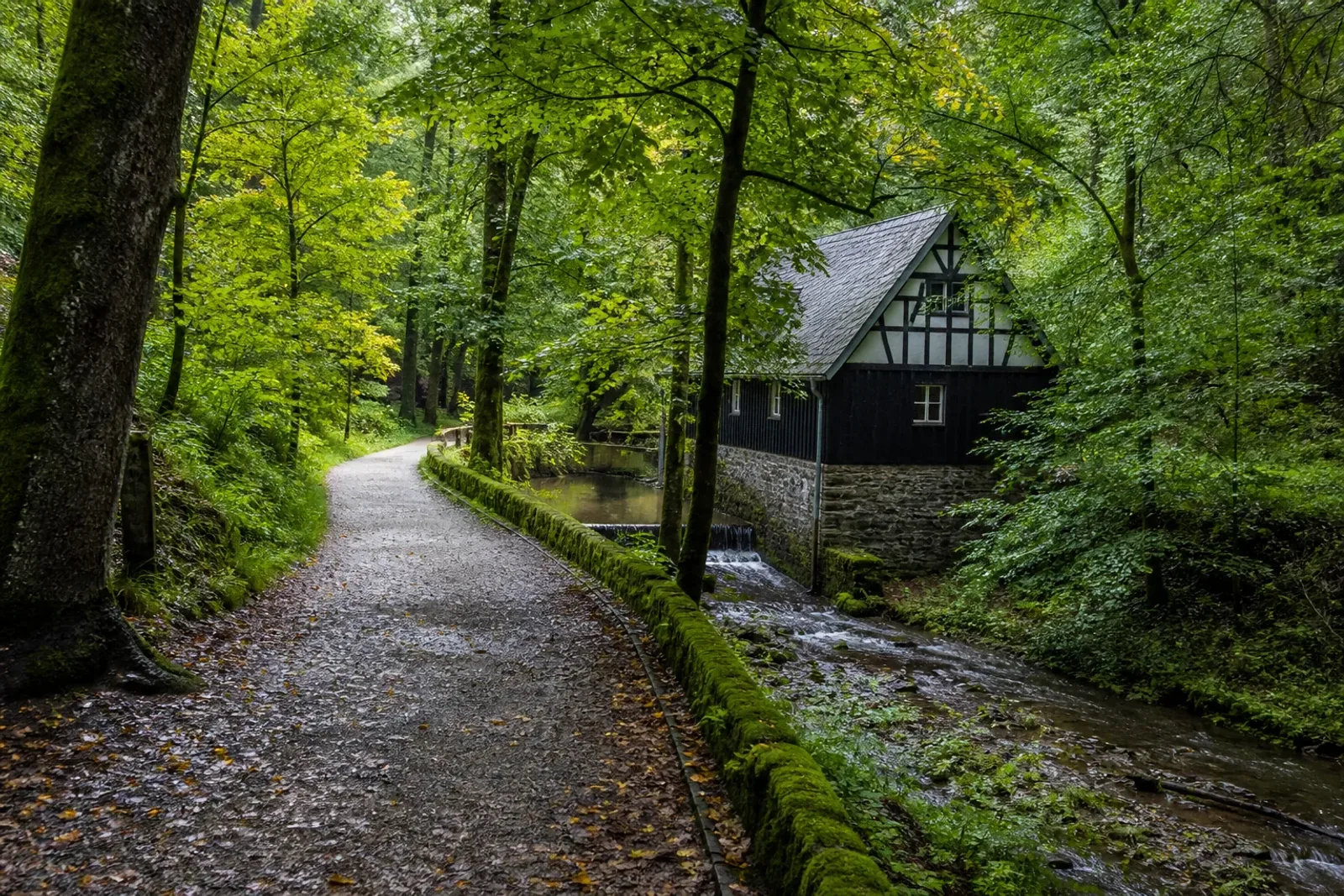 Waldweg an Bach und historischem Hammerwerk im Gelpetal bei Remscheid