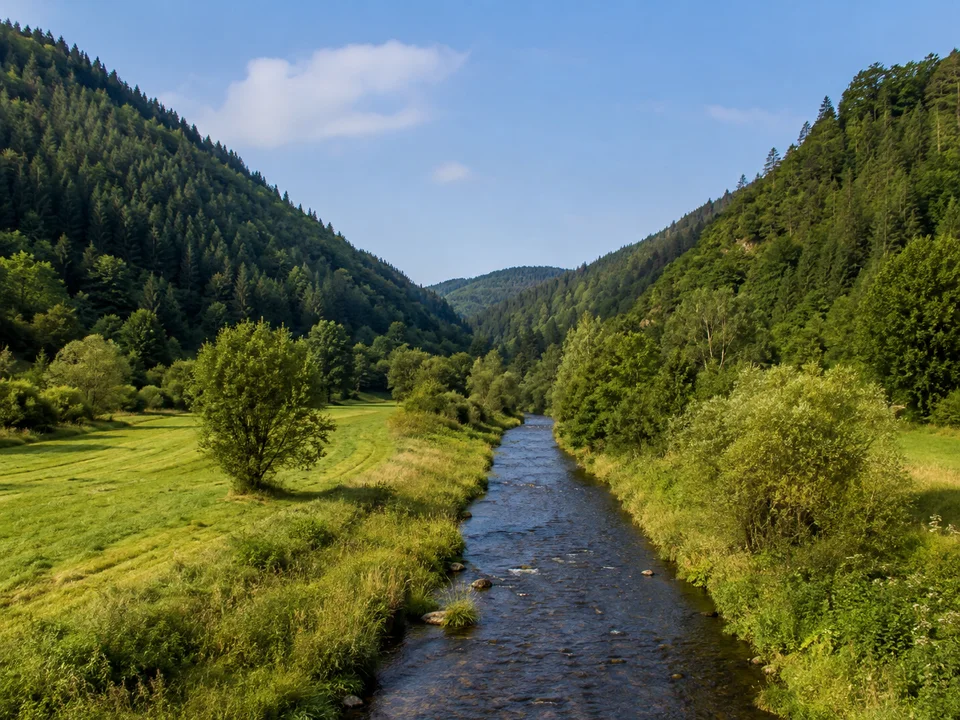 Renchtal bei Bad Peterstal: Schmaler Fluss mit grünen Uferwiesen zwischen stärker aufragenden bewaldeten Mittelgebirgshängen