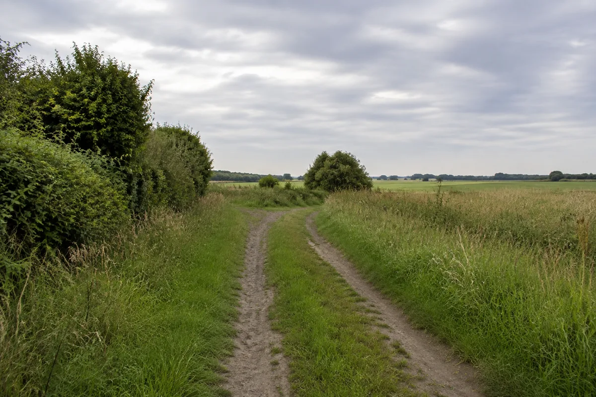 Dörflicher Feldweg bei Russow zwischen Wiesen und Hecken