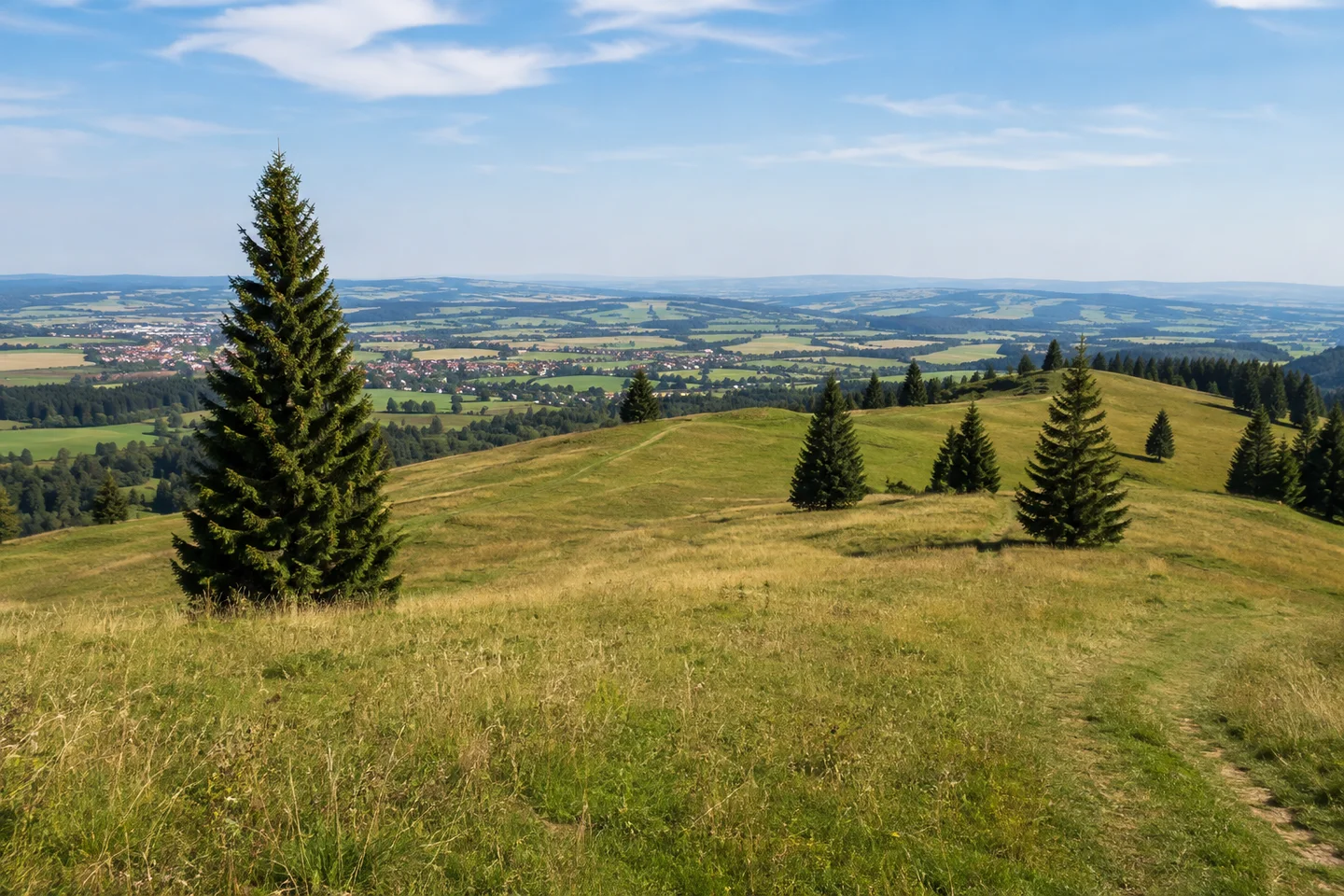 Vorderburg: wellige Wiesen und einzelne Fichten mit weitem Blick ins nördliche Allgäuer Vorland