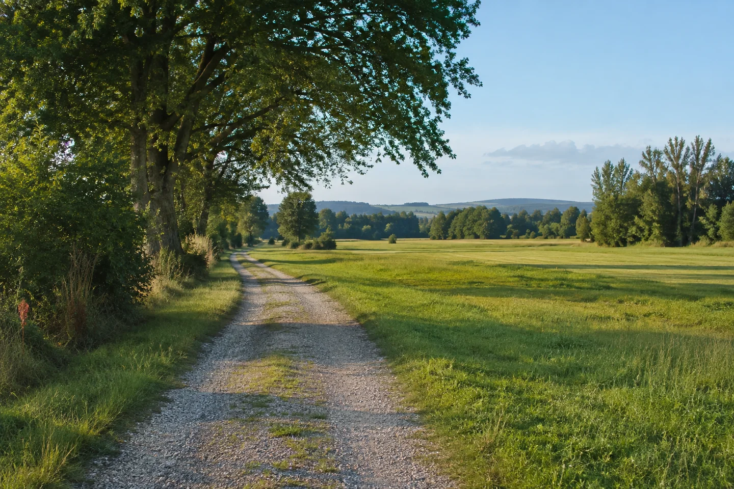 Untermaiselstein: flache Illertalrandwiesen, Laubbäume und niedriger geschotterter Feldweg
