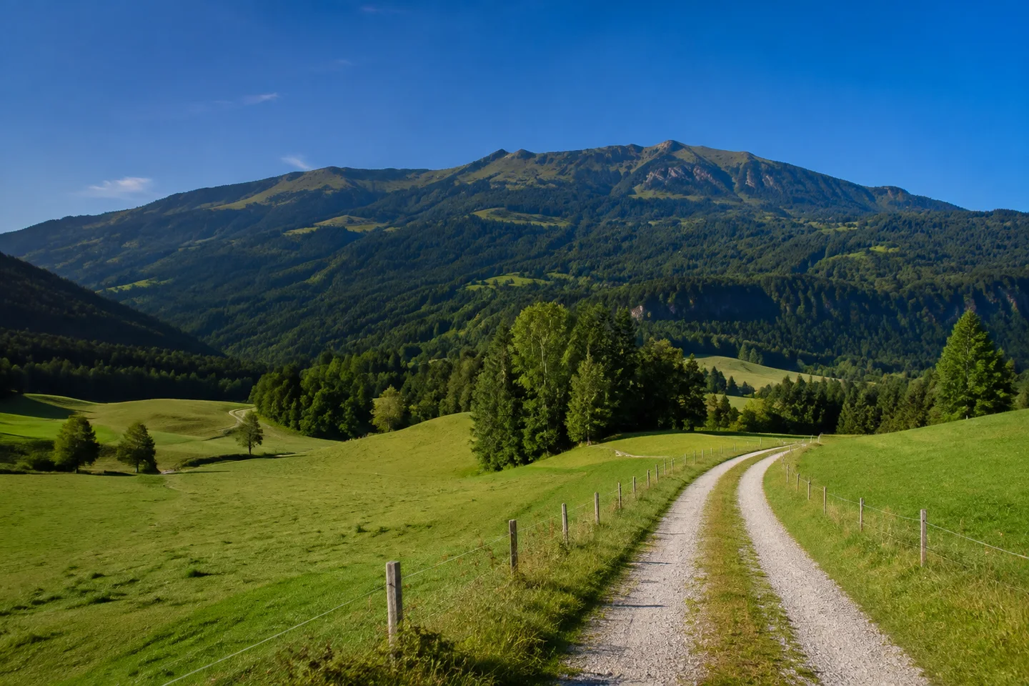 Rettenberg: Rettenberg: sattgrüne Viehweiden am bewaldeten Fuß des breiten Grüntenmassivs, gewöhnlicher Wirtschaftsweg