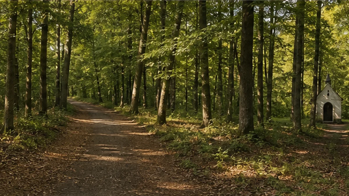 Laubwaldweg an der Waldkapelle