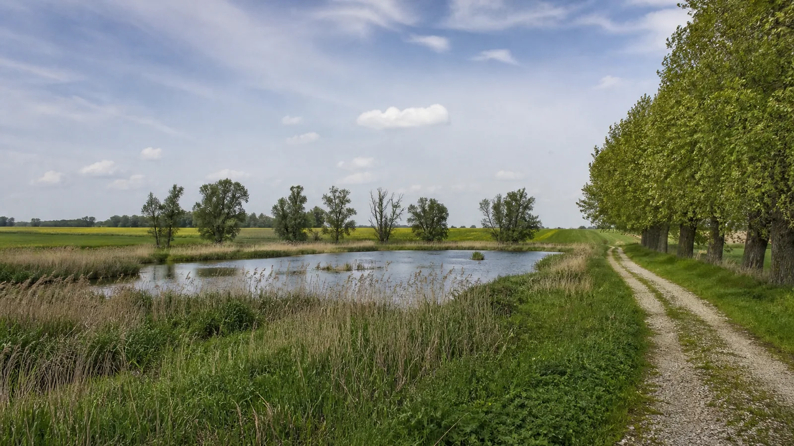 Weg an einem Auen- und Abgrabungsgewässer bei Rheinberg