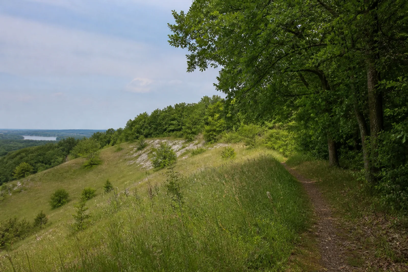 Waldpfad am Kalkmagerrasen des Waldhügels in Rheine