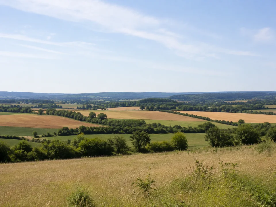 Idsteiner Senke: Weitläufige sanfte Feld- und Wiesenlandschaft mit Hecken und niedrigen Waldhorizonten