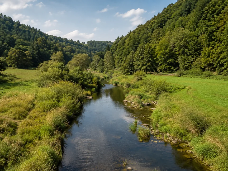 Aartal bei Michelbach: Schmaler Fluss zwischen grünen Auenwiesen und steileren bewaldeten Talrändern