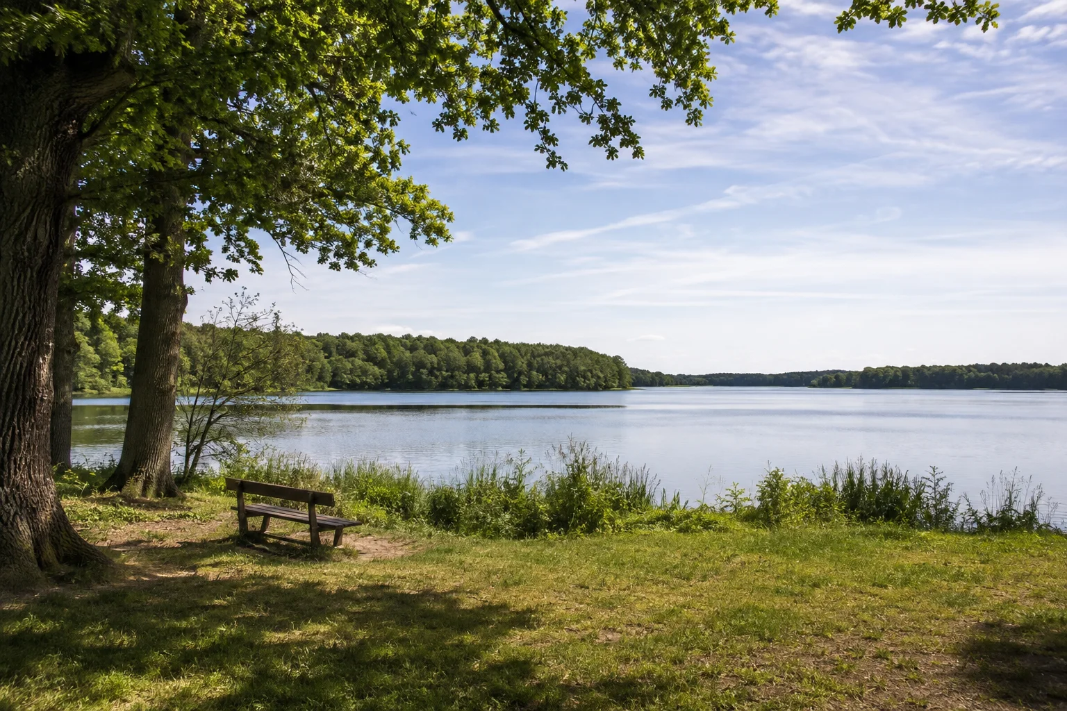 Rheinsberg: Grienericksee: ruhiger See bei Rheinsberg mit bewaldetem Ufer und parkartigem Vordergrund