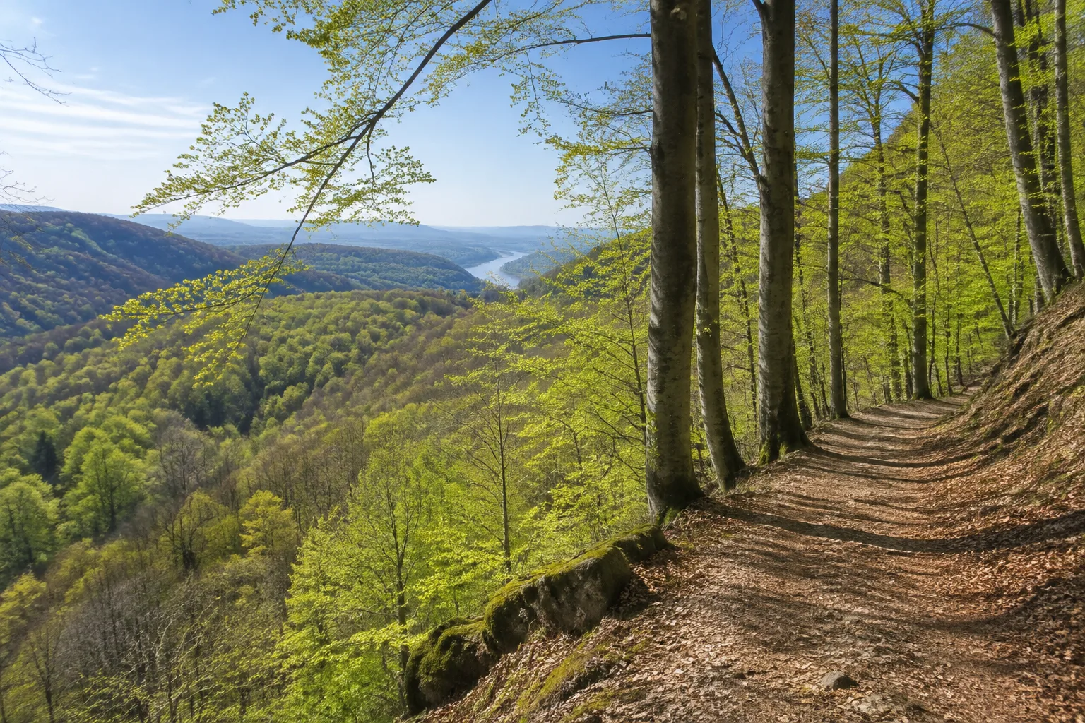 Welterbetal: Burgen und Weinberge am engen Rhein