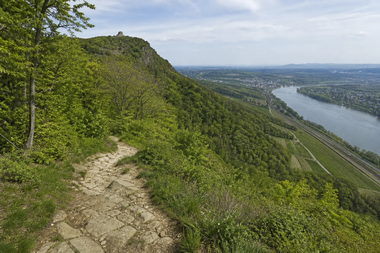 Rheinsteig in NRW: Drachenfels am Rheinsteig in Rheinsteig in NRW