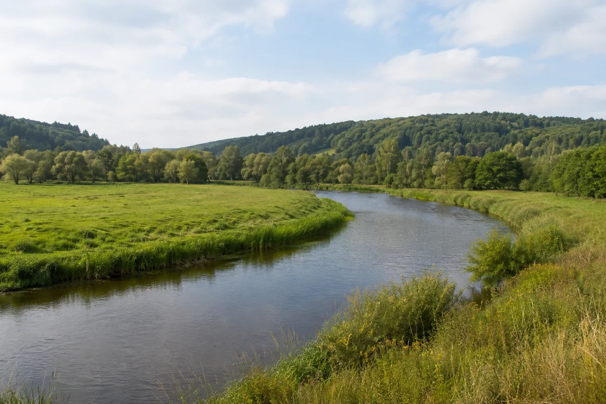 Zwickauer Mulde bei Zaßnitz: Flussbogen und grüne Uferwiesen unter niedrigen bewaldeten Hängen