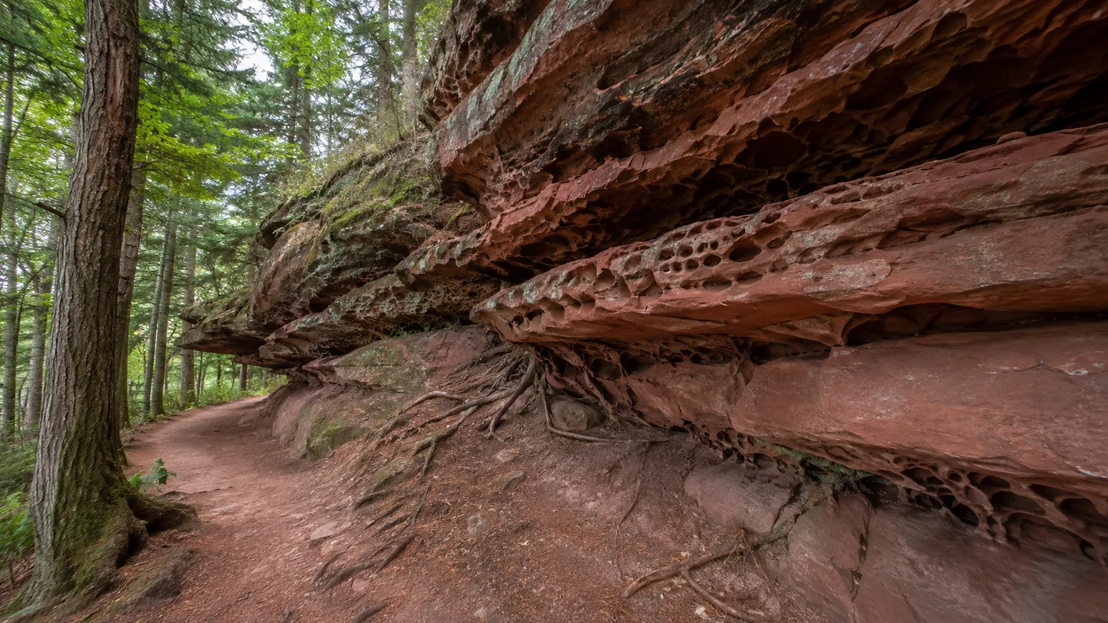 Pfälzer Burgenhöhen: bewaldete Sandsteinberge im östlichen Pfälzerwald
