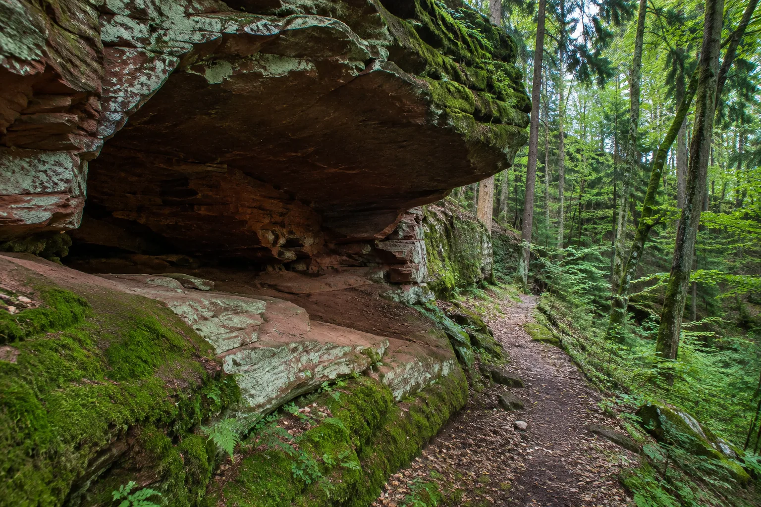 Rodalben: Rodalben: Rodalber Felsenwald: rote Sandsteinfelsen im Mischwald