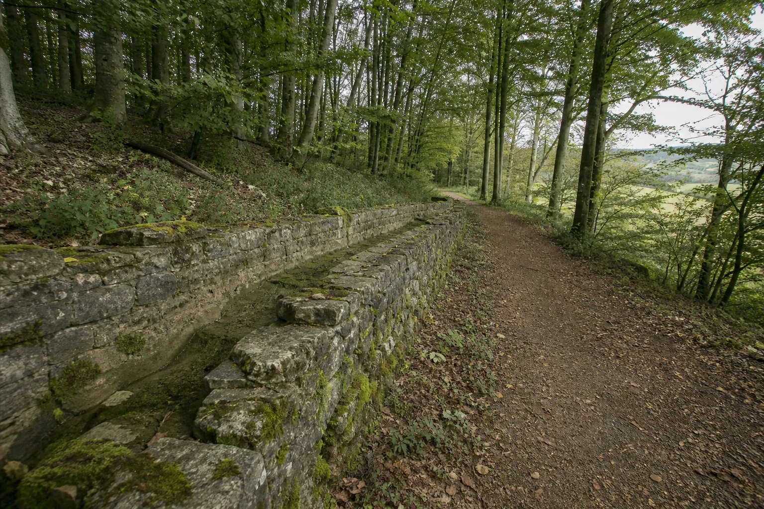Römerkanal-Wanderweg: Römischer Leitungsrest am Waldweg in Römerkanal-Wanderweg