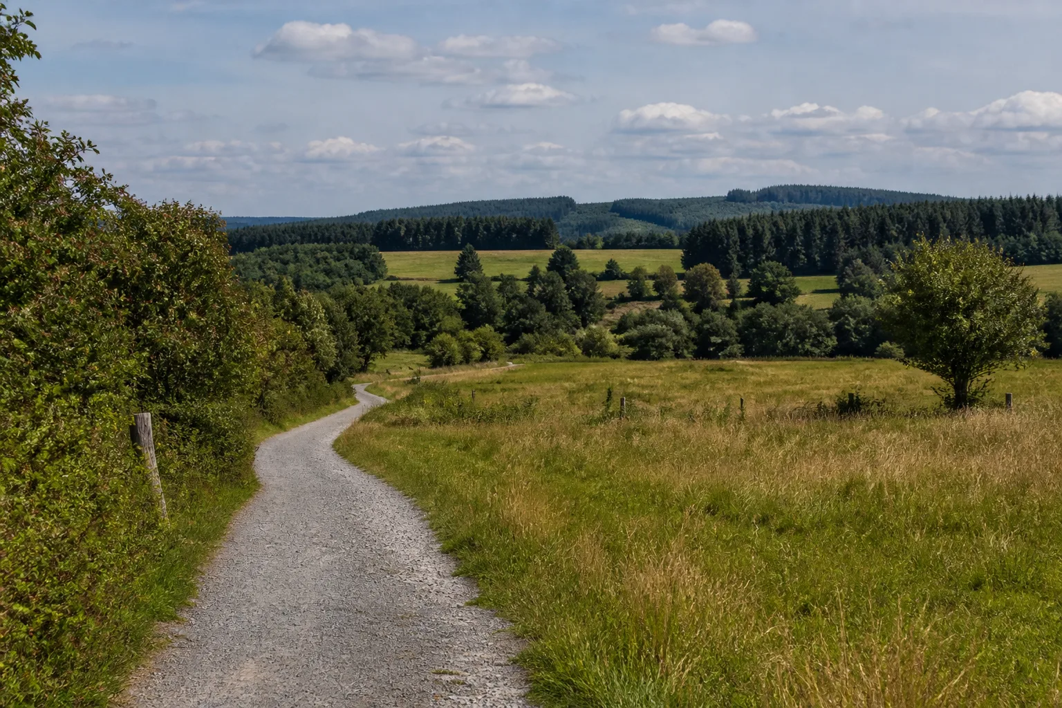 Wanderweg durch das Vennvorland bei Roetgen