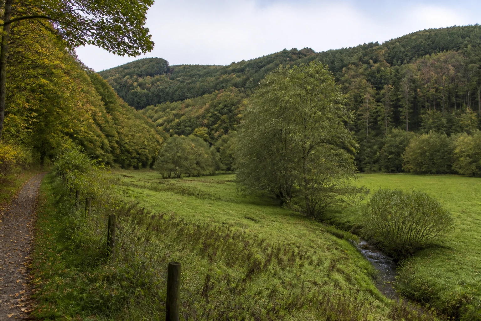 Holderbach östlich von Rohren