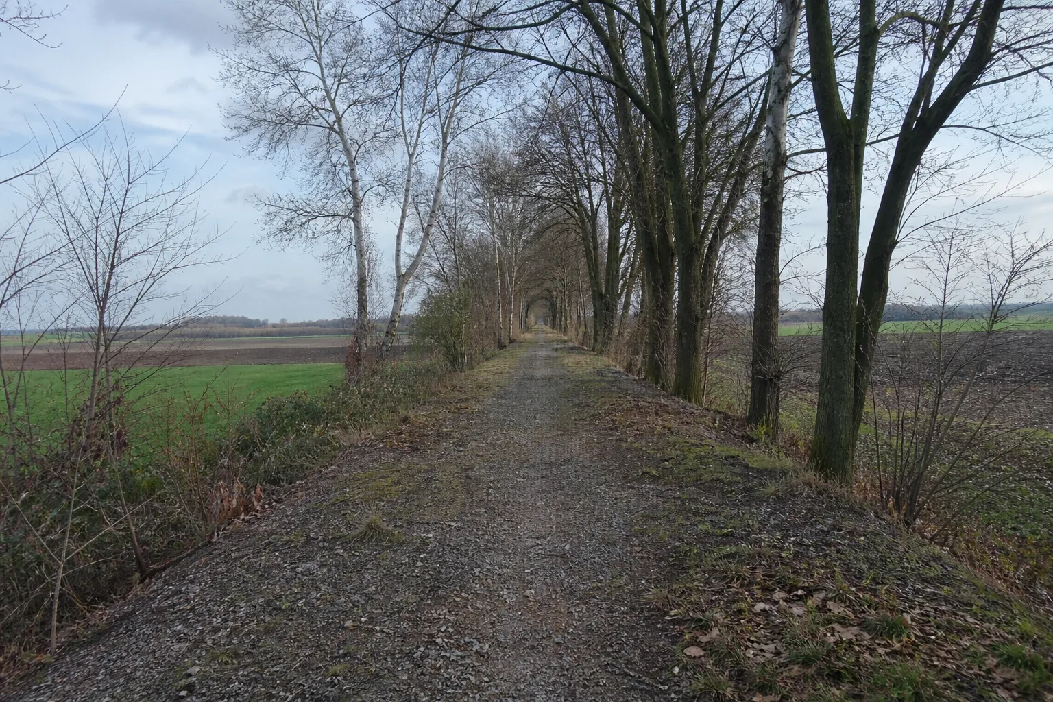 Strategischer Bahndamm bei Sinsteden
