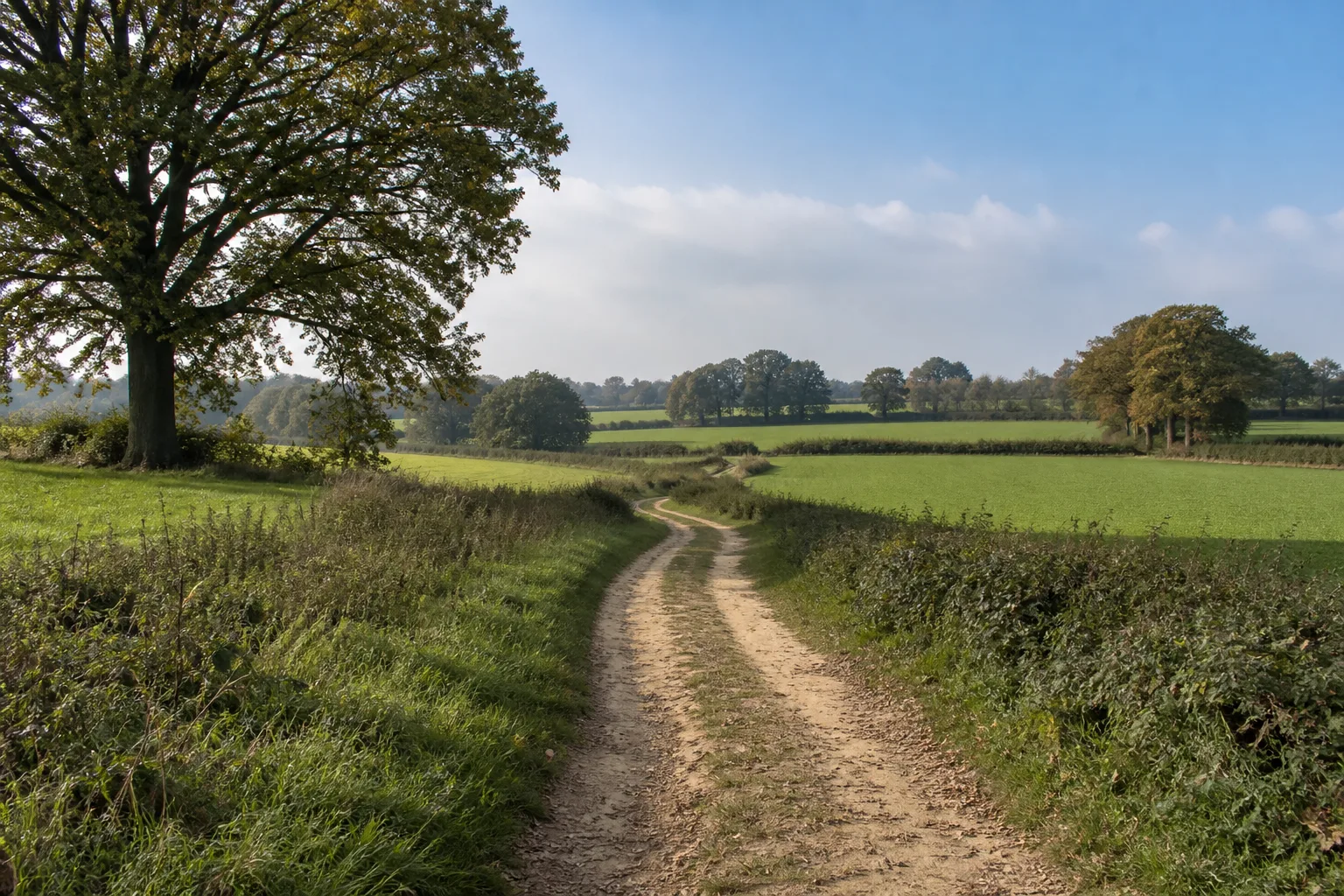 Holtwick beim Wandern in Rosendahl