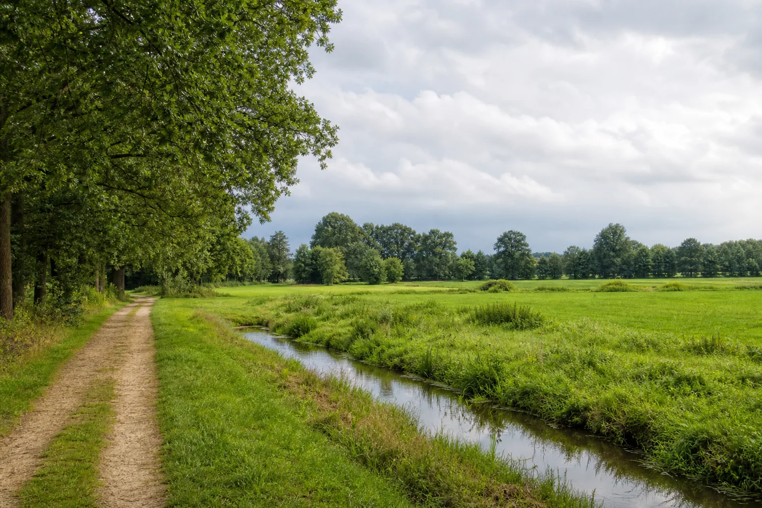 Osterwick und Varlar beim Wandern in Rosendahl