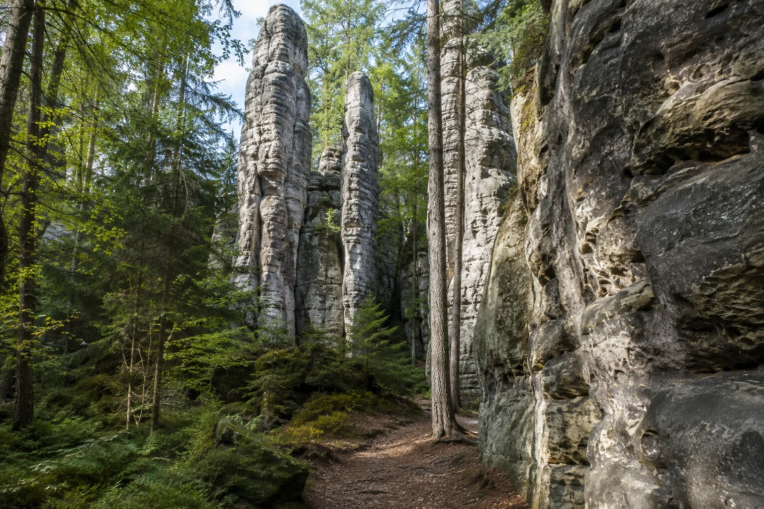 Rosenthal-Bielatal: Schweizermühle: Rosenthal-Bielatal: schmale Sandsteinsäulen im bewaldeten Bielatal