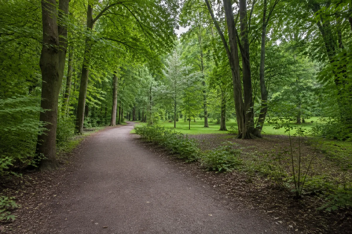 Laubwaldweg im Barnstorfer Wald mit städtischem Parkcharakter