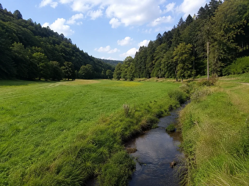 Haselgrund bei Schwarzenhasel: Offene grüne Talwiese mit kleinem Bach und bewaldeten Mittelgebirgshängen