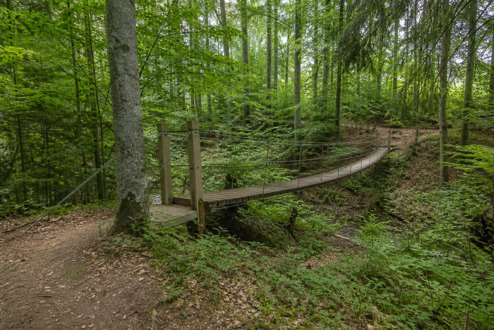 Schmale Hängebrücke über einen flachen Waldgraben bei Kühhude