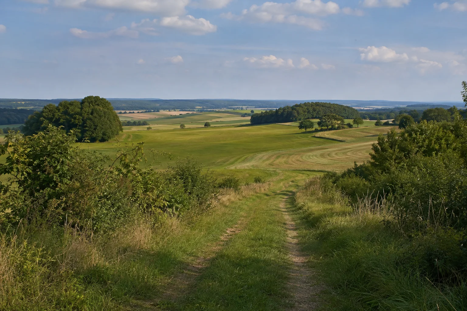Leuzenbronner Landschaft: sanft wellige offene Felder mit einem grasbewachsenen Weg und kleinen Laubwaldinseln.