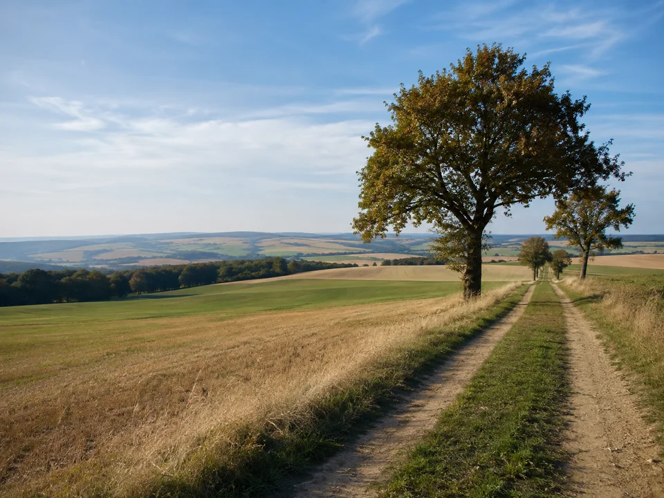 Hochfläche bei Groschwitz: Offene wellige Acker- und Wiesenlandschaft mit breitem Feldweg und vereinzelten alten Bäumen