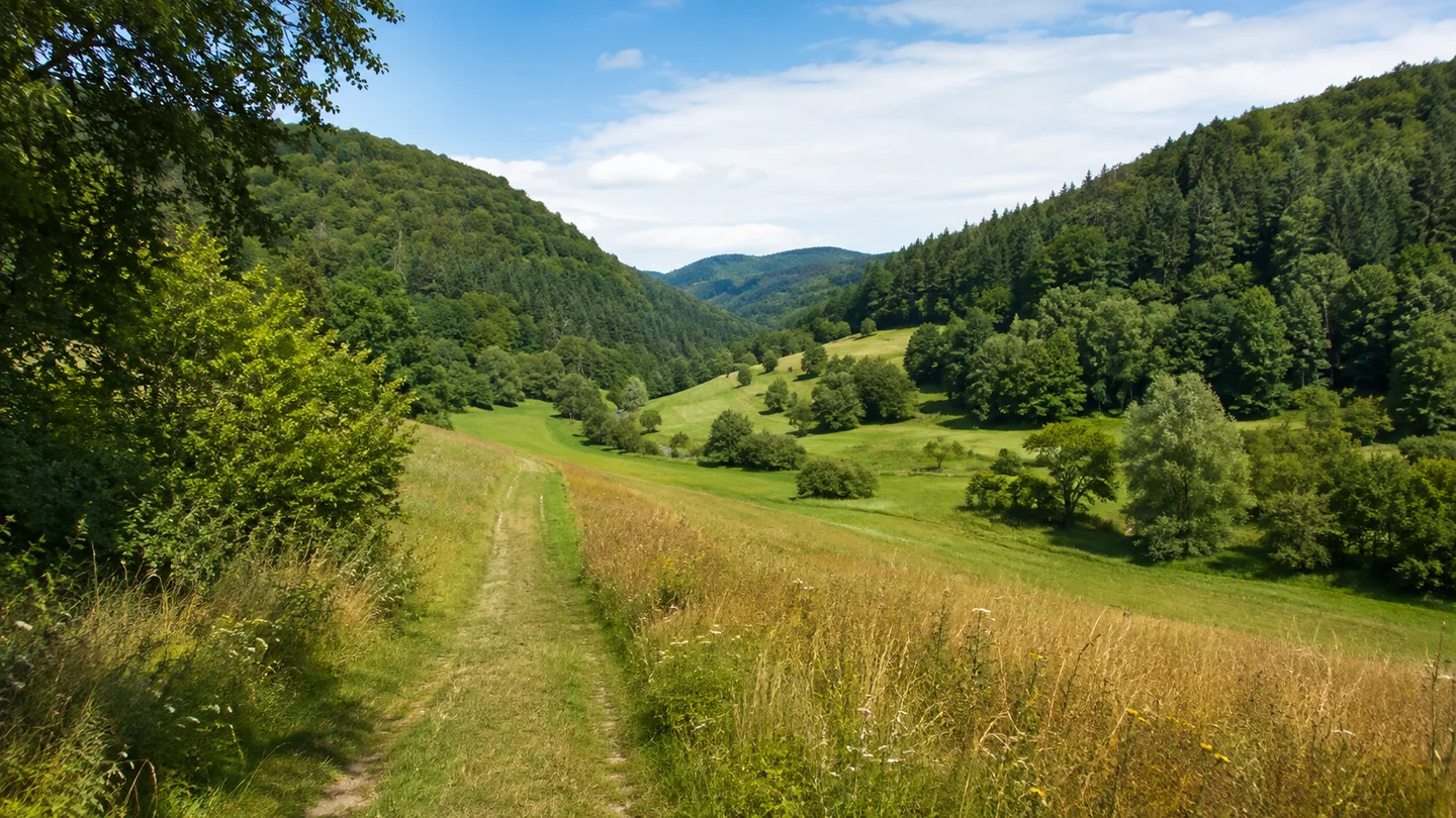 Rudolstadt: Hügelland bei Keilhau: Grünes kleines Tal mit Wiesenweg zwischen sanften dicht bewaldeten Hügeln