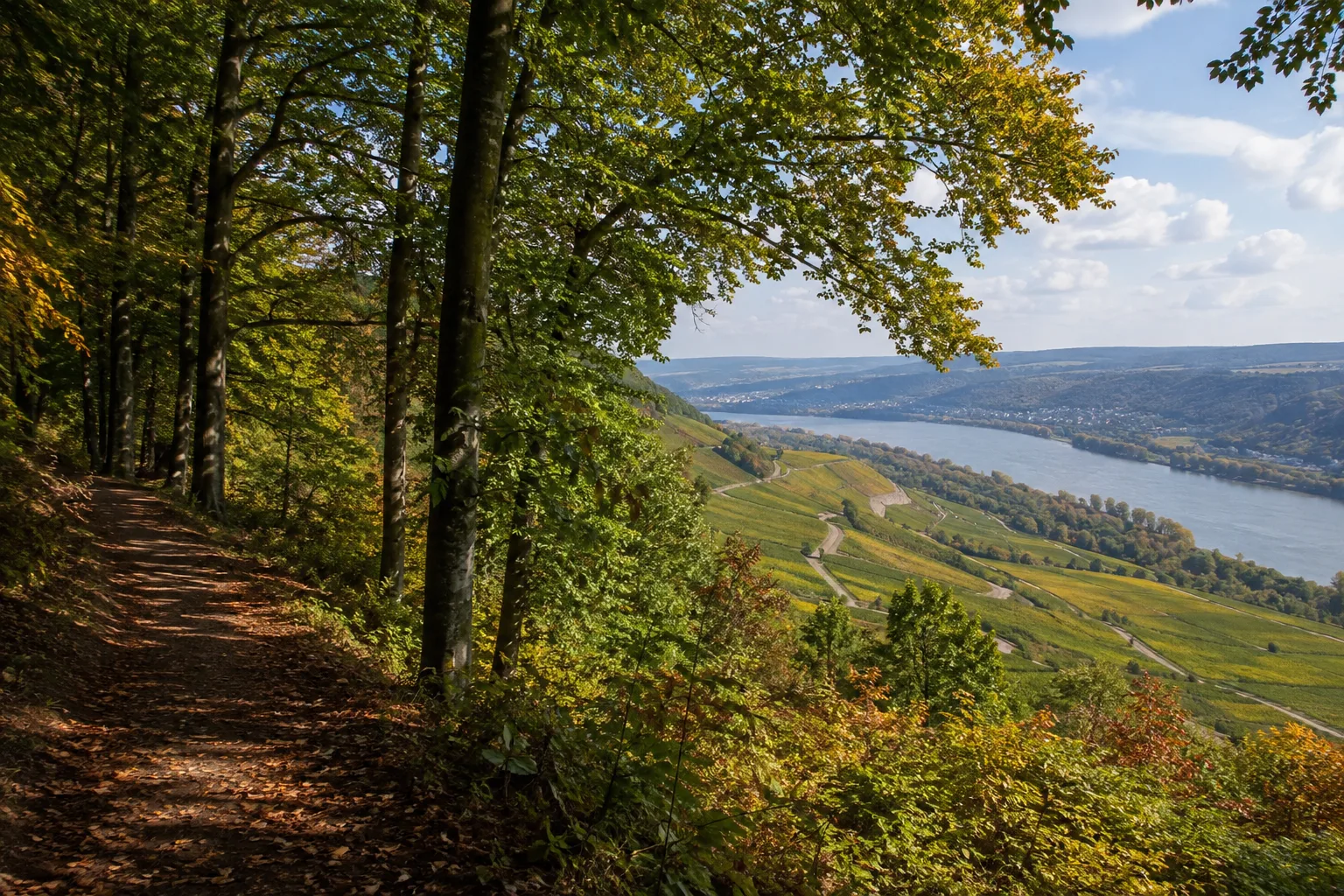 Rheingauer Tor: Rebhänge am Beginn des Welterbetals