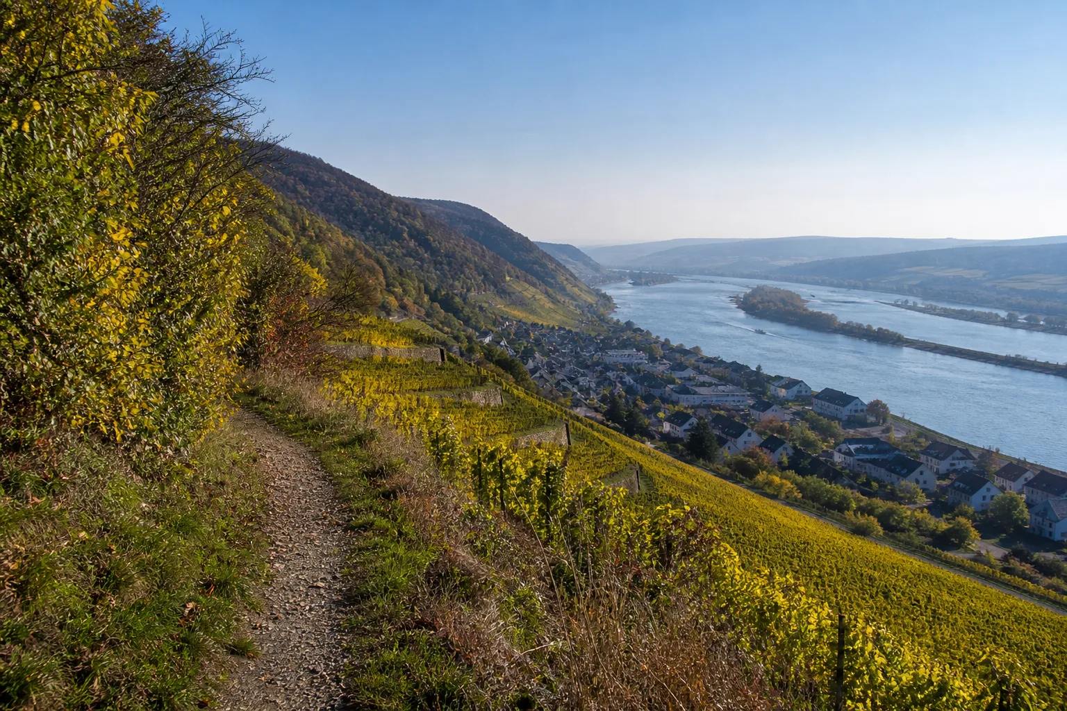 Niederwald: bewaldete Aussichtshöhe über dem Fluss