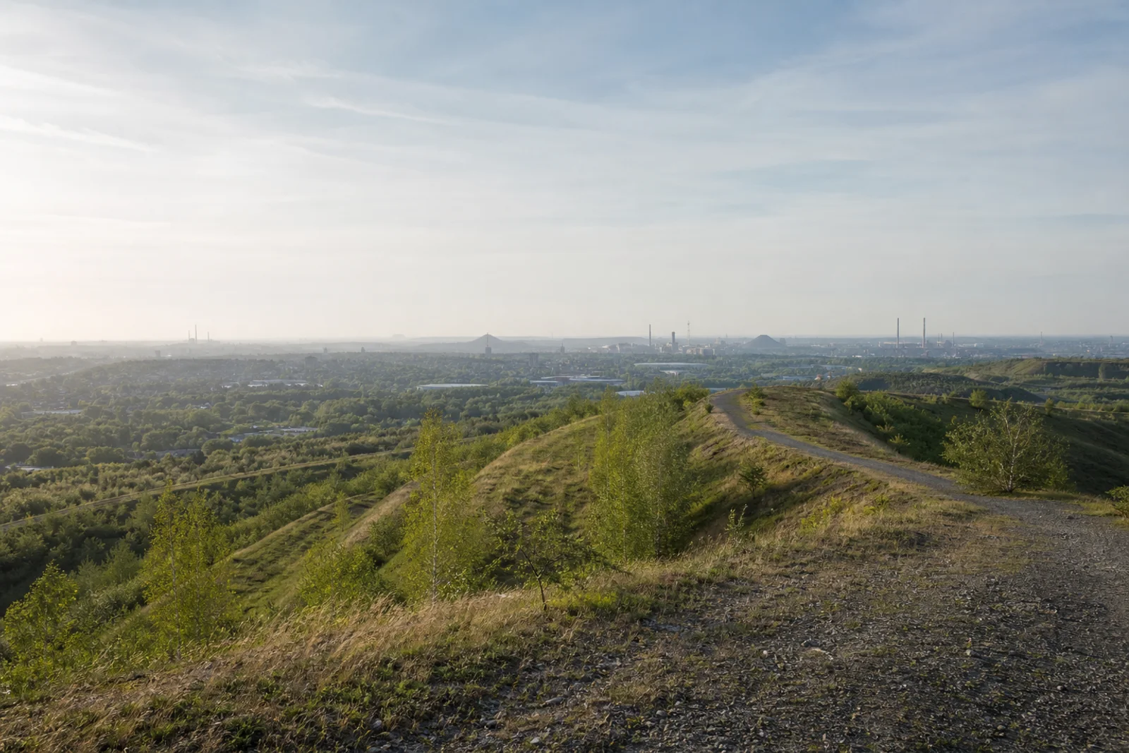 Ruhrgebiet von einer begrünten Haldenhöhe mit Wanderweg und urbaner Fernsicht