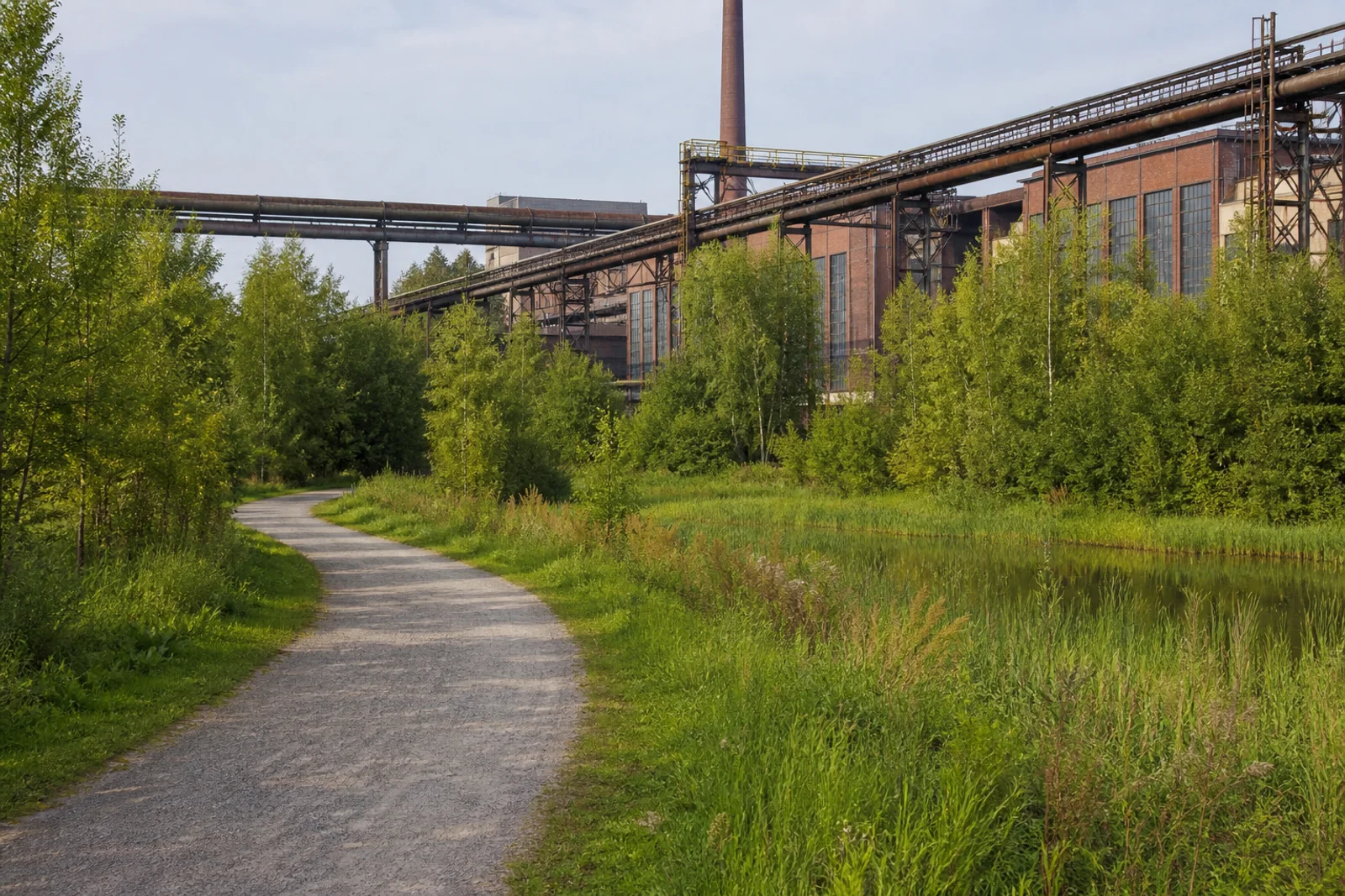 Grüner Weg im Ruhrgebiet neben begrünten Industrieanlagen und einem kleinen Feuchtgebiet