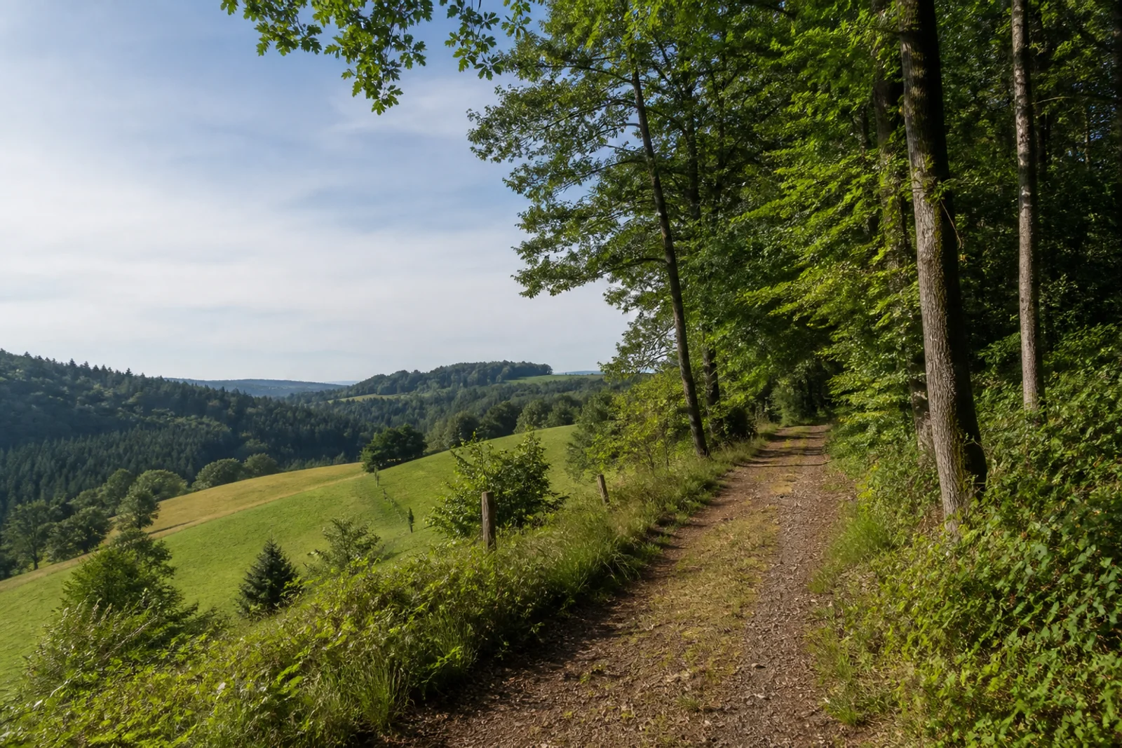 Höhenweg am Nutscheidrand
