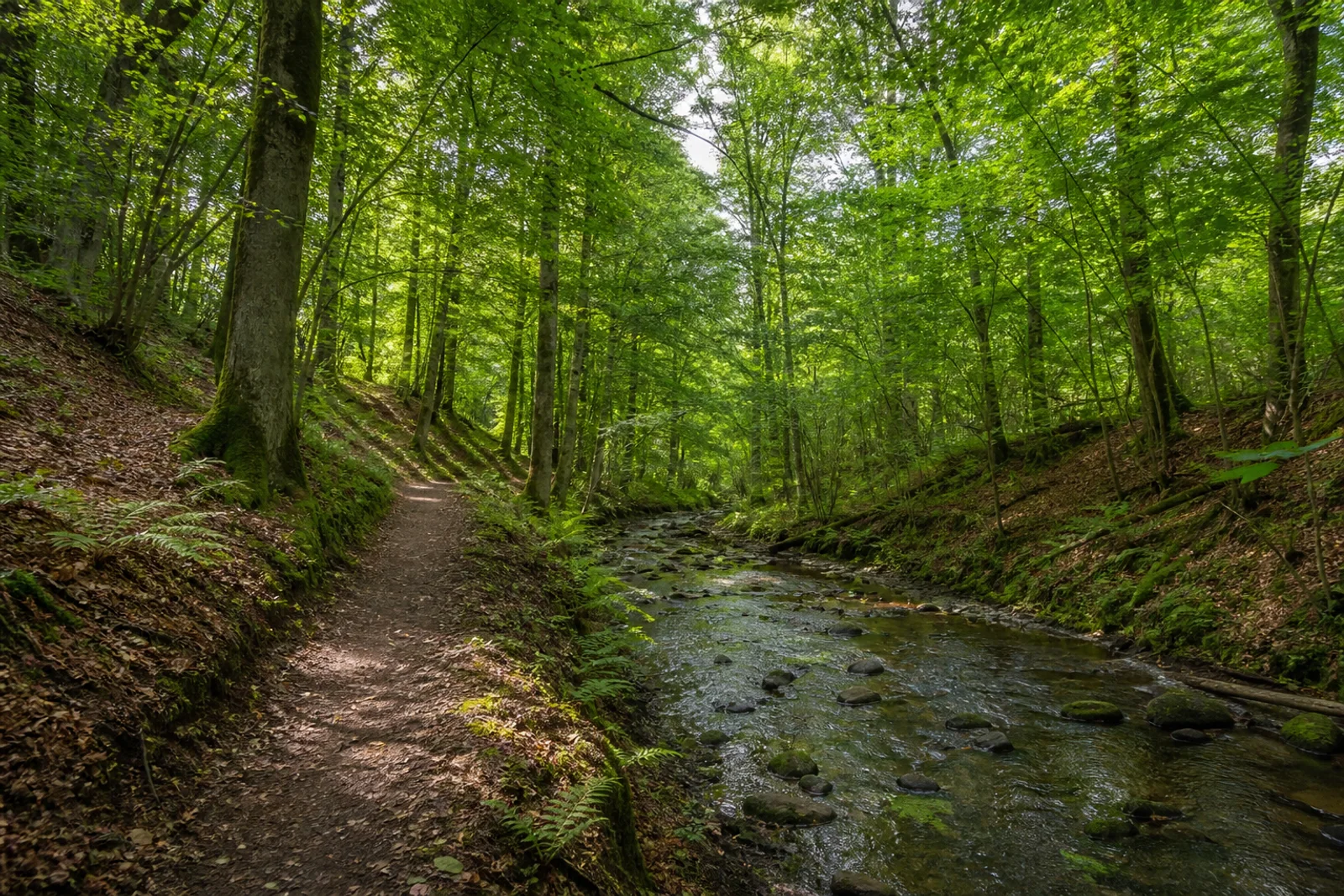 Bachpfad bei Winterscheid