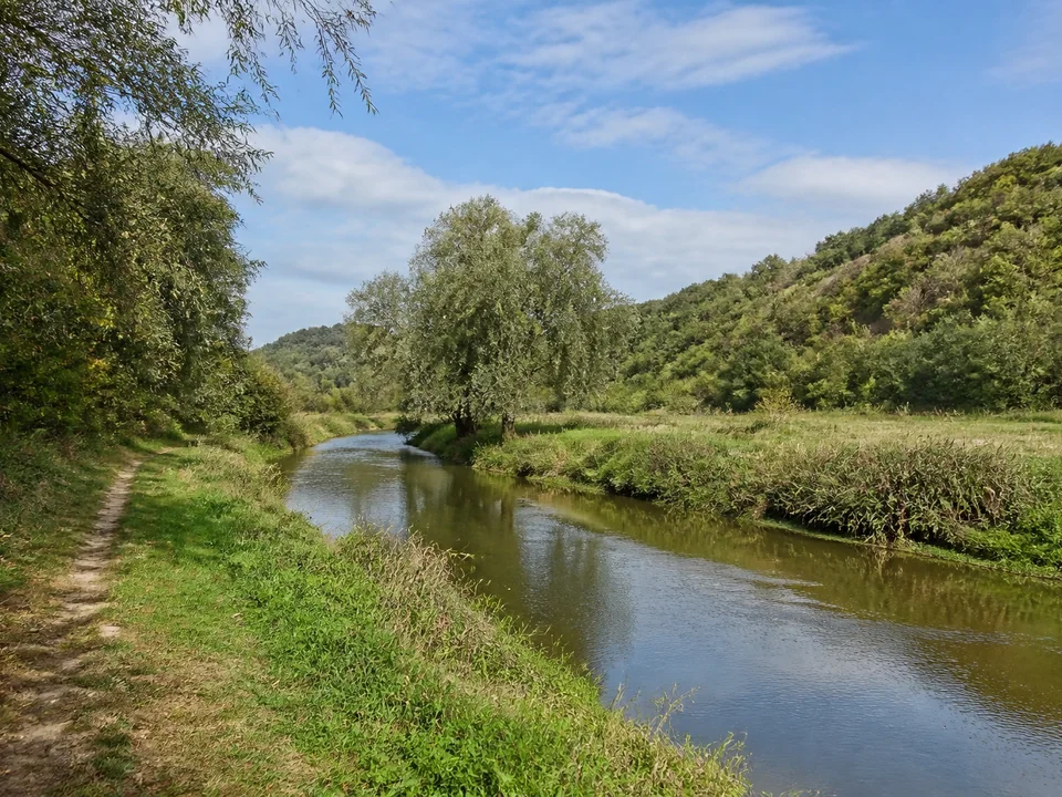 Unstrut bei Wangen: Schmaler ruhiger Fluss mit Weiden und Wiesen unter niedrigen bewaldeten Hängen