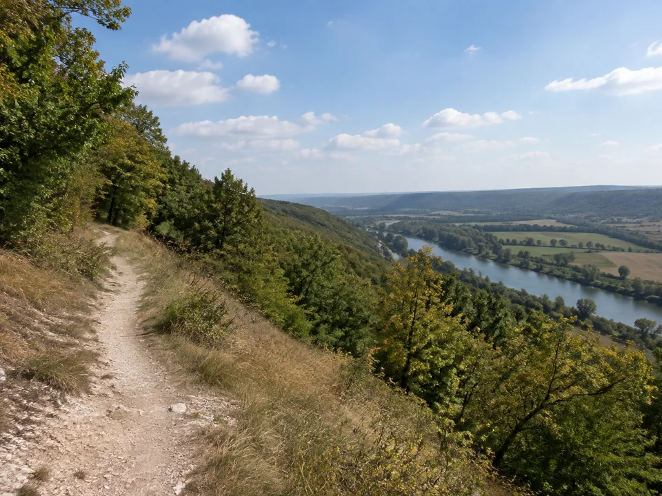 Muschelkalkhänge bei Jena: Trockener heller Kalkweg am bewaldeten Hang über dem breiten Saaletal, keine alpinen Felsen