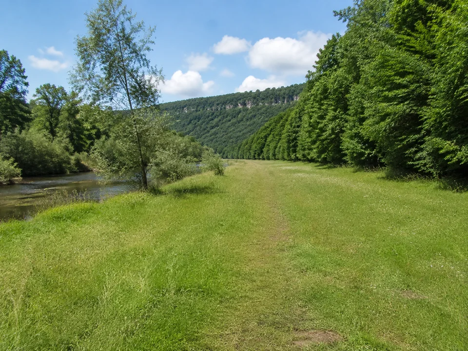 Kahlaer Talrand: Breiter Wiesenweg zwischen Flussaue und dichtem Laubwald an einem niedrigen Höhenzug