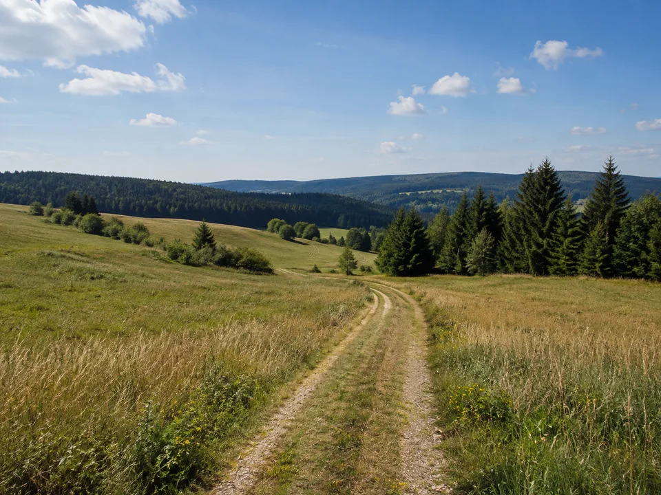 Saalfelder Höhe bei Eyba: Weite hügelige Wiesen mit Feldweg und dunklem Nadelmischwaldhorizont