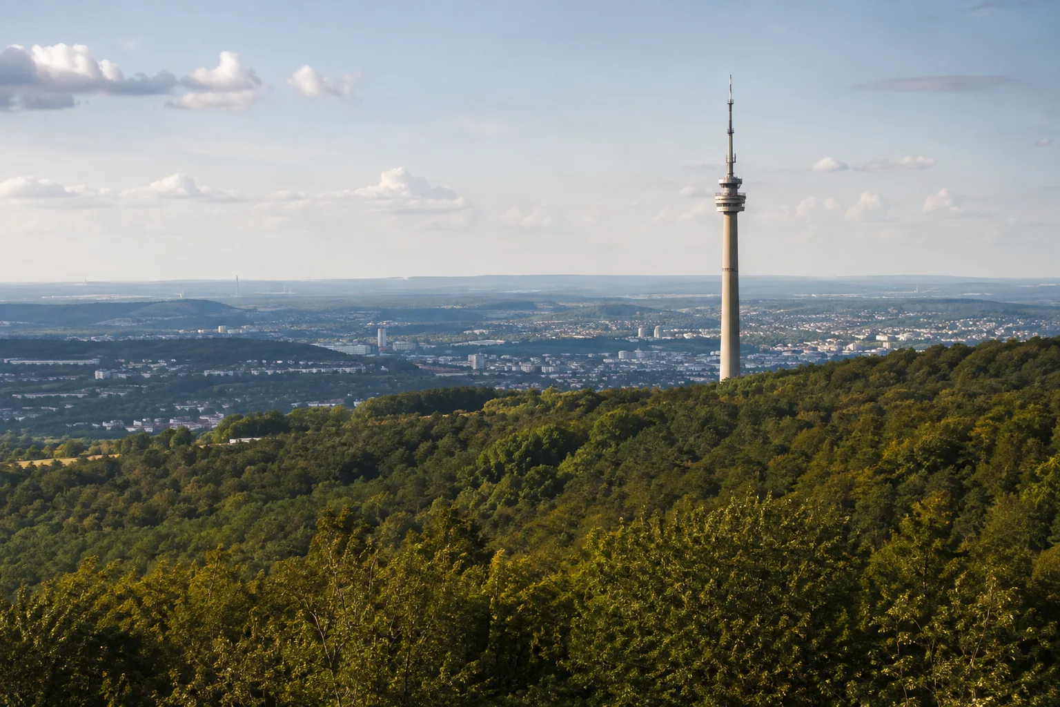 Schwarzenberg: Stadtwald mit Aussichtsturm über dem Blätterdach