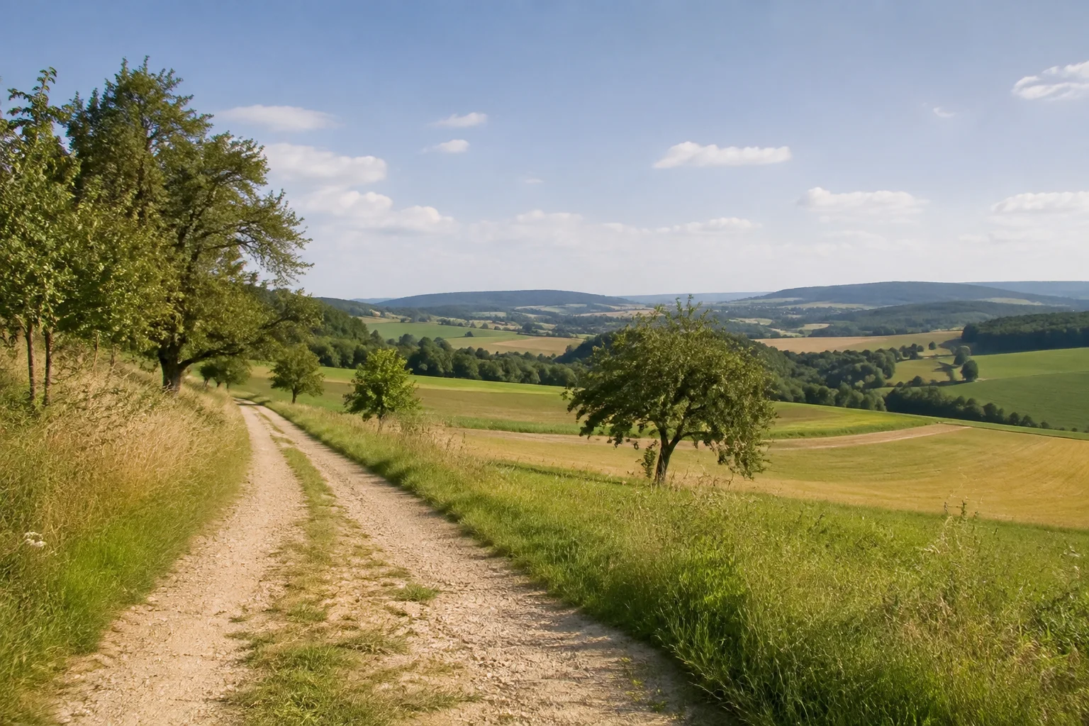 Kahrener Höhe: heller Feldweg durch offene Wiesen und Äcker, einzelne Obstbäume mit weitem Blick über sanfte Hügel.