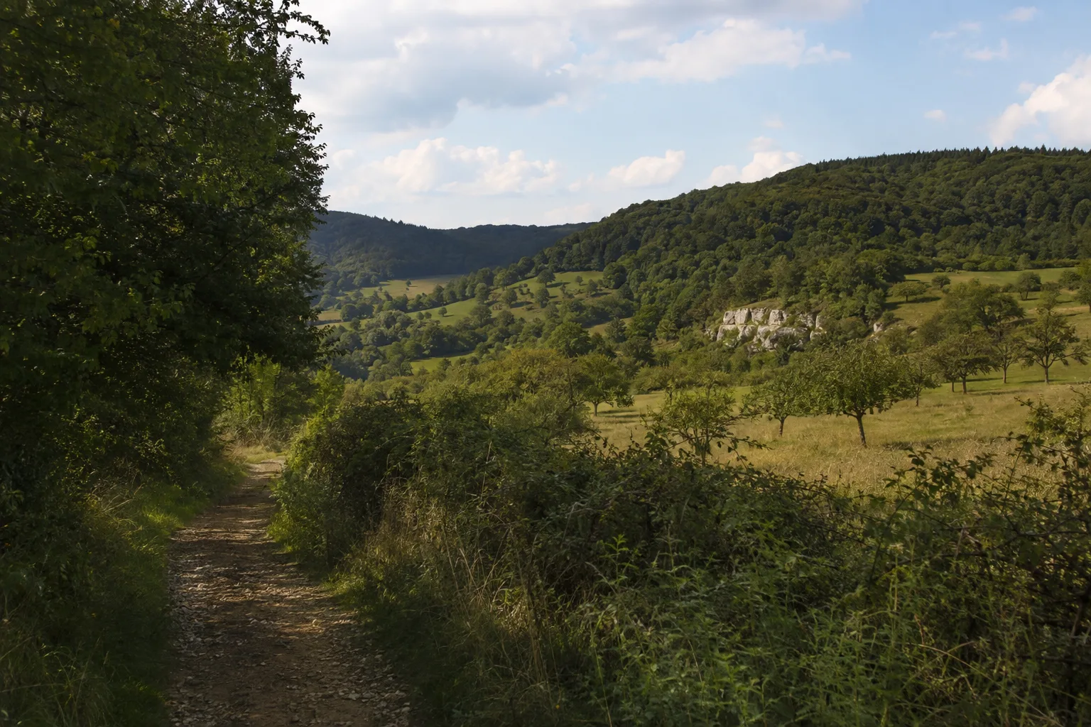 Südliches Saarland: Streuobstwiesen und Muschelkalkhänge