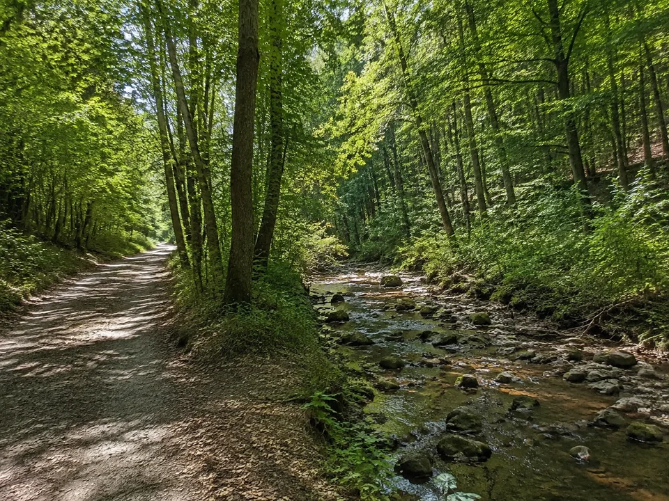 Wippertal bei Wippra: Kleiner Mittelgebirgsfluss mit steinigem Bett unter dichtem Laubwald, breiter Talweg